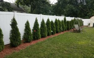 Vinyl Fence